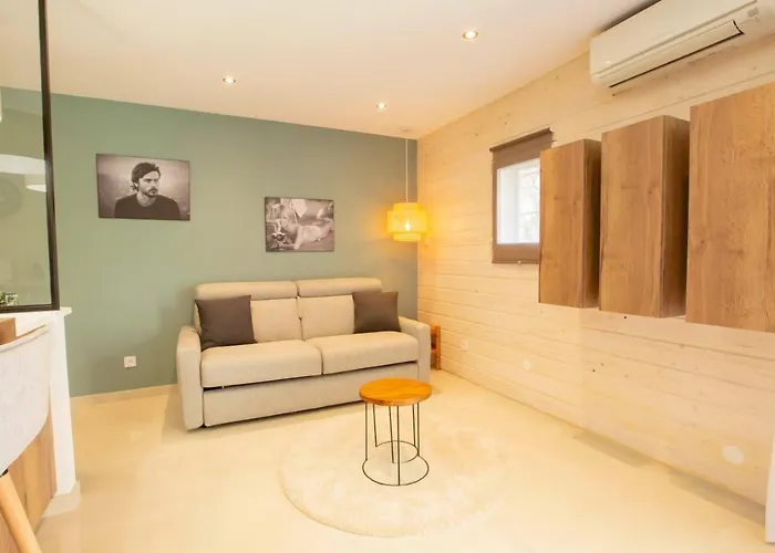 Appartement Le P'tit Max, Spacieux Centre Maxime